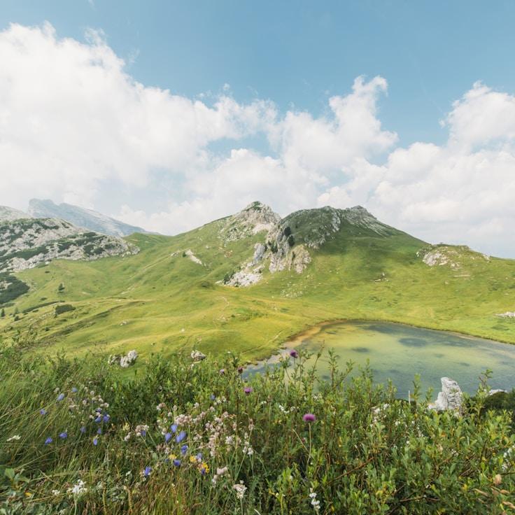 Protected areas overview